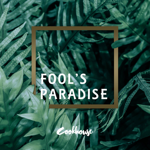 Read more about the article Cookhouse – Runaway