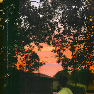 Read more about the article Adam Rom – She’ll Come With Me