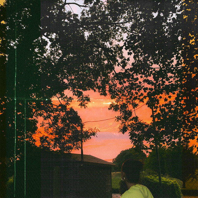 Read more about the article Adam Rom – She’ll Come With Me