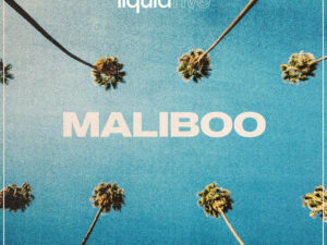 liquidfive – Maliboo