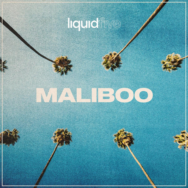 Read more about the article liquidfive – Maliboo