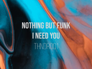 Nothing But Funk – I Need You
