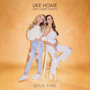 Read more about the article Wild Fire – Like Home