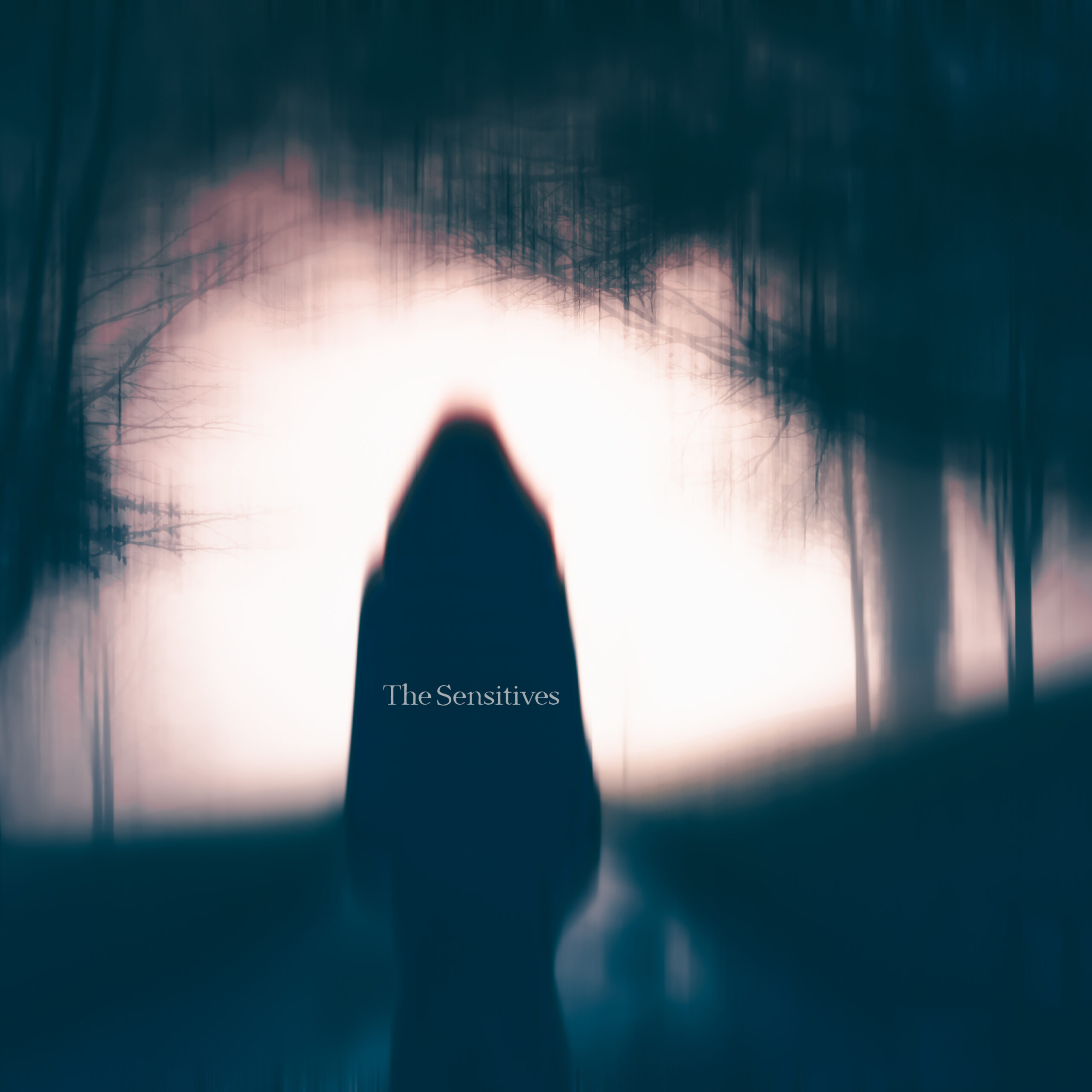 Read more about the article The Sensitive Club – The Sensitives