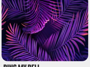 Nothing But Funk – Ring My Bell (feat. Syndel)