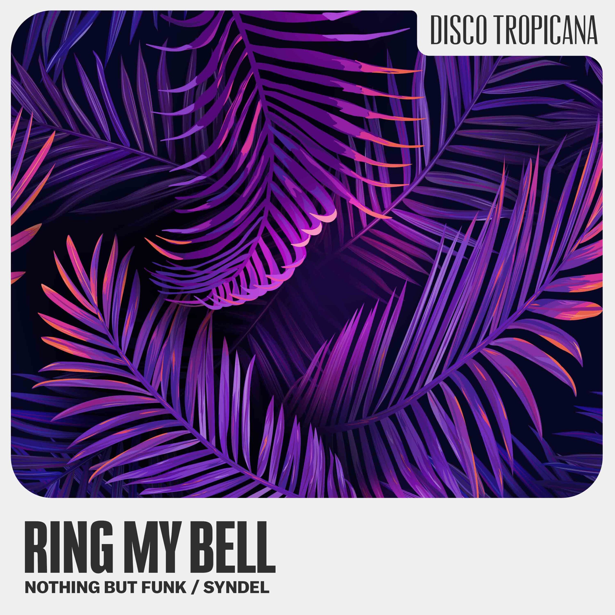 Read more about the article Nothing But Funk – Ring My Bell (feat. Syndel)