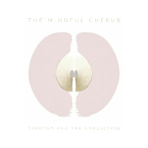Read more about the article Timothy and the Apocalypse – The Mindful Cherub – 9 Theory Remix