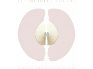Timothy and the Apocalypse – The Mindful Cherub – 9 Theory Remix