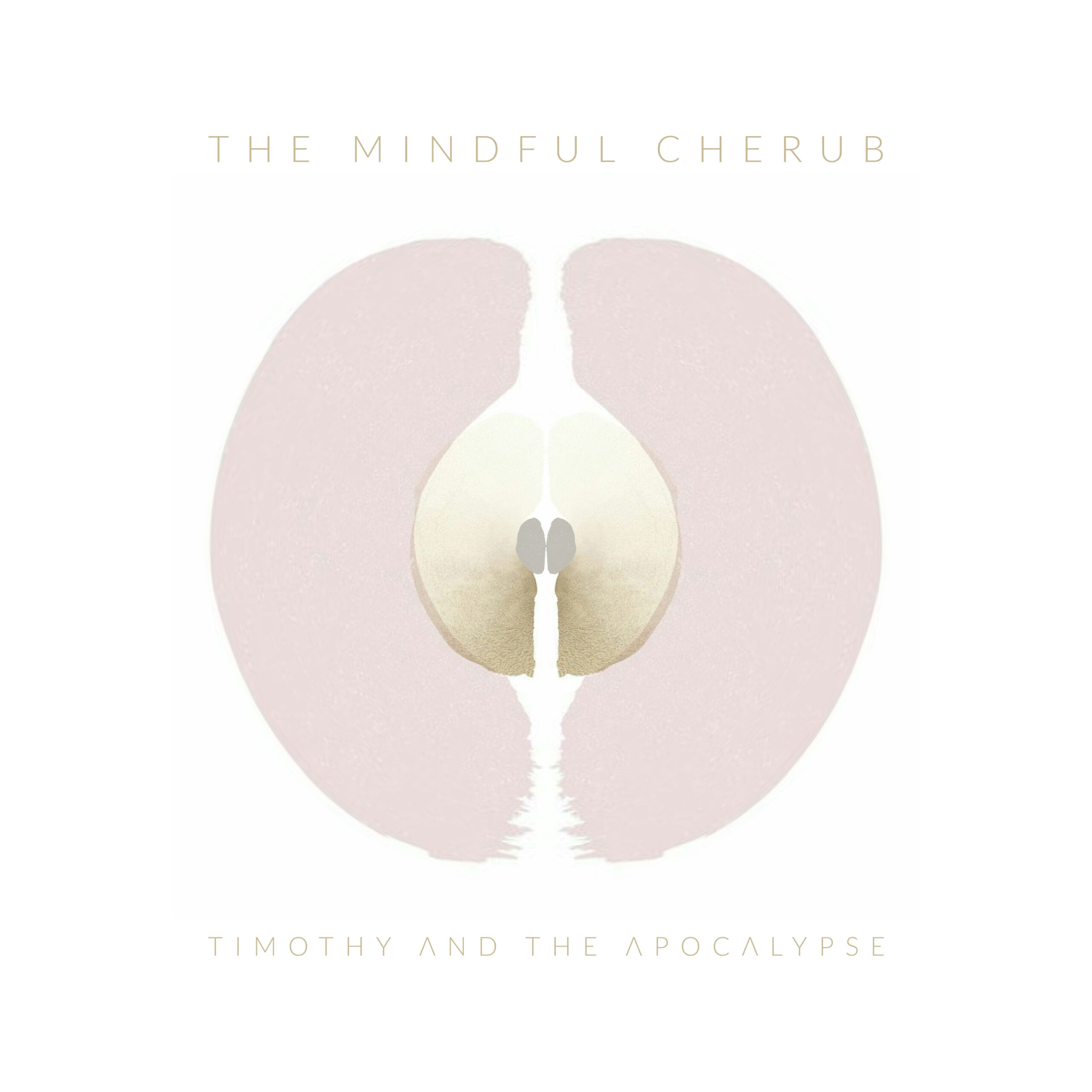 Read more about the article Timothy and the Apocalypse – The Mindful Cherub – 9 Theory Remix